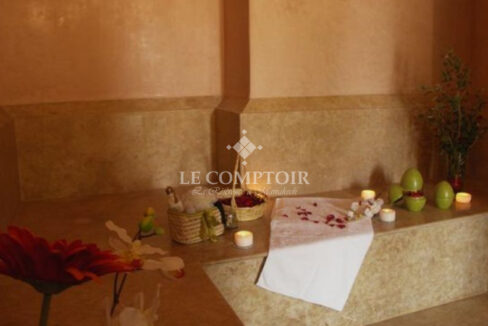 Le Comptoir Immobilier Agence Immobiliere Marrakech Magnifique Demeure Contemporaine Bab Atlas Marrakech Villa LOANAELLE Hammam