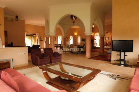 Le Comptoir Immobilier Agence Immobiliere Marrakech Achat Villa Babatlas Salon 1