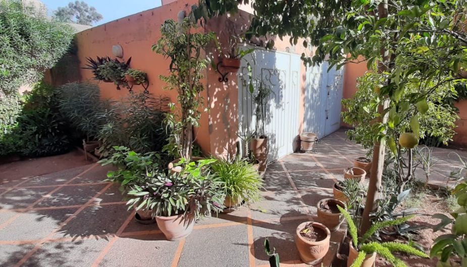 Le Comptoir Immobilier Agence Immobiliere Marrakech Appartement Rez De Jardin Marrakech 5