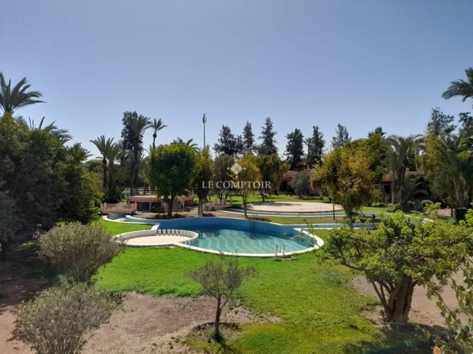Le Comptoir Immobilier Agence Immobiliere Marrakech Location Maison Palmeraie Piscine Terrasse 12