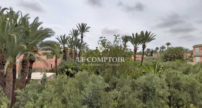 Le Comptoir Immobilier Agence Immobiliere Marrakech Location Appartement Palmeraie Terrasse Piscine 8