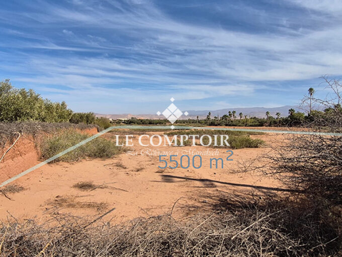 Le Comptoir Immobilier Agence Immobiliere Marrakech Terrain Construction Campagne Ourika Canal Achat Marrakech Maroc Agence Projet 2