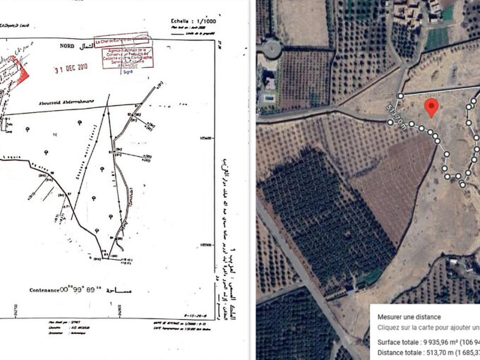Le Comptoir Immobilier Agence Immobiliere Marrakech WhatsApp Image 2026 03 17 At 13.32.03