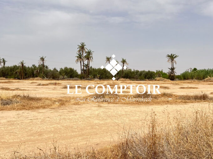 Le Comptoir Immobilier Agence Immobiliere Marrakech Terrain Vente Marraekch Baba Atals 1 1